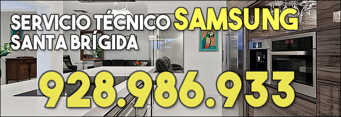 Tecnico Samsung Santa Brigida